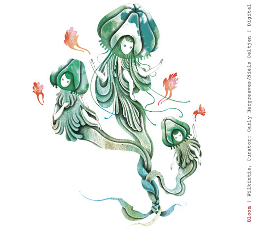 Bloom