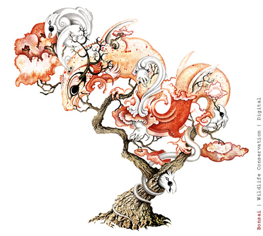 Bonsai